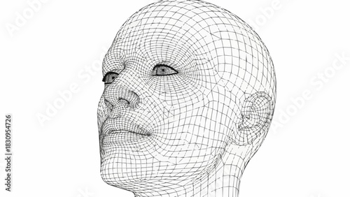 Wireframe Head - A Digital Representation of Human Form.