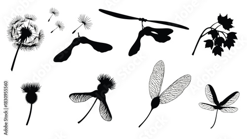 Flat vector illustration of diverse botanical seeds and plant elements, featuring dandelion, maple samaras, and thistle, isolated on white background