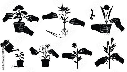 Flat vector illustration of hands performing essential plant care: pruning bonsai, repotting, watering, inspecting,, isolated on white background