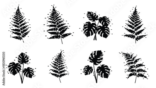 Black silhouette tropical leaves collection featuring detailed fern fronds and broad monstera plants with a modern, isolated on white background