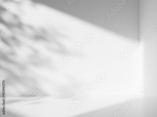 Empty studio or room with sunny shadow. Minimal scene backdrops for product display. 3D Rendering.