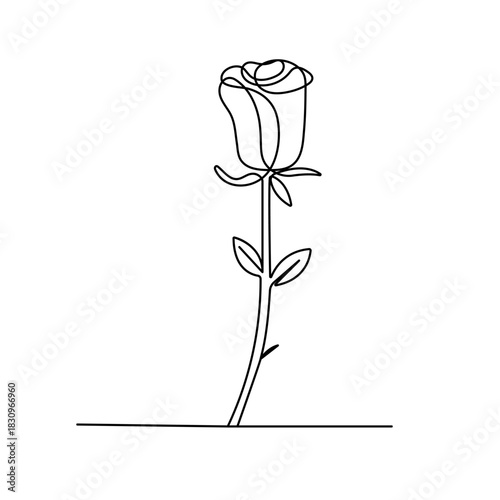 
Rose flower with continuous one-line drawing in minimalist outline style on a white background vector illustration

