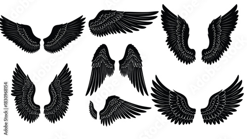 Comprehensive collection of majestic black wings in various dynamic poses, featuring detailed feather outlines,, isolated on white background