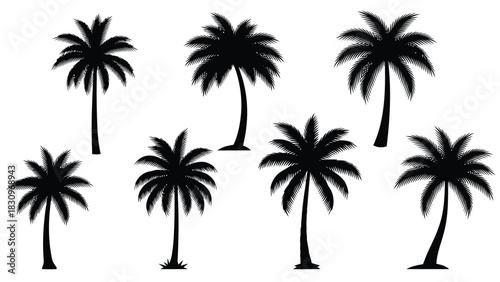 Collection of diverse black palm tree silhouettes in a flat vector illustration style, perfect for tropical summer, isolated on white background