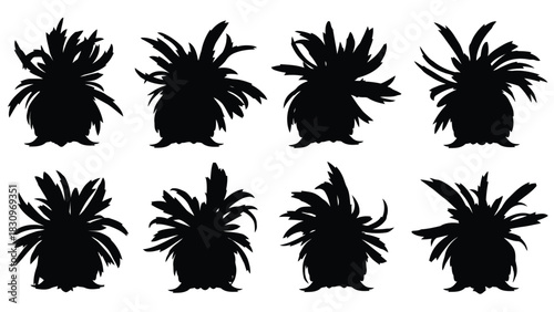 Eight distinct black silhouettes of stylized spiky plant like forms with varied sharp leaves, a clean flat vector, isolated on white background