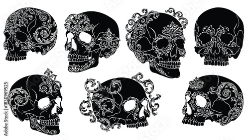 Collection of ornate black human skulls with intricate white baroque and rococo style ornamental flourishes, presented, isolated on white background