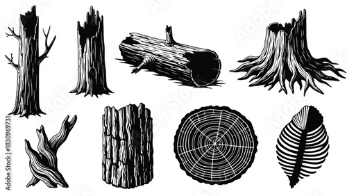 Rustic wooden elements: weathered tree stumps, a sturdy log, textured bark, and a tree ring cross section, in a classic, isolated on white background