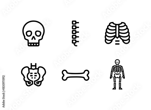 Skeleton Skull Spine Rib Cage Pelvis Clavicle Minimal Bold Line Icon Set