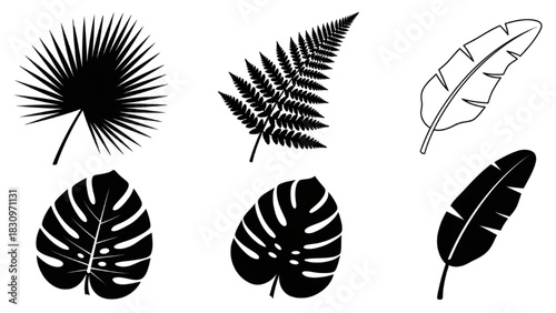 Tropical Leaf Collection Diverse Silhouettes of Palms and Foliage for Design