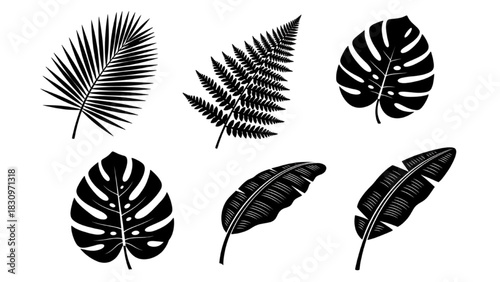 A collection of black silhouette illustrations of various tropical jungle leaves