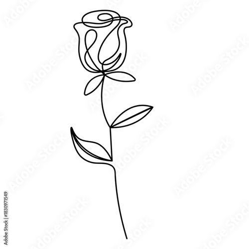 
Rose flower with continuous one-line drawing in minimalist outline style on a white background vector illustration


