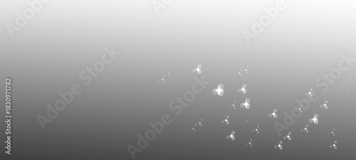 Winter snow overlay PNG. Falling snowflakes and soft snow particles isolated on transparent background. Light snowfall, snowflakes, Snow flakes, snow ..rain drops on the window