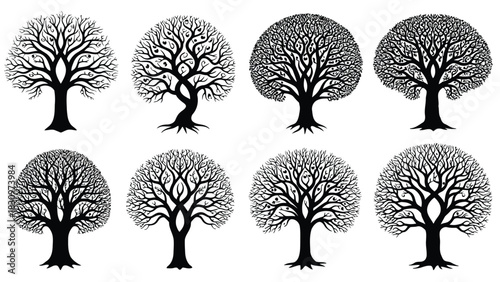 Collection of eight stylized black silhouette deciduous trees without leaves showing intricate branching patterns and, isolated on white background