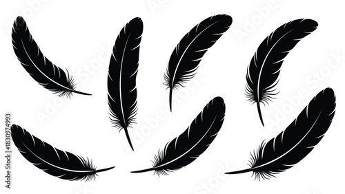 Collection of six detailed black bird feathers floating in different orientations, elegant silhouette graphic design, isolated on white background