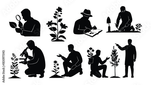 Collection of black silhouette icons depicting botanists and scientists studying various plants, leaves, and trees with, isolated on white background