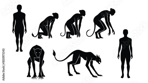Evolutionary transformation sequence silhouette from standing human to crouching feral beast with monstrous claws and, isolated on white background