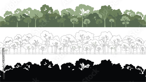 Vector Forest Landscape Set with Color, Outline, and Silhouette - Ecology, Nature, Woodland Illustration, Tree Tops, and Plant Background