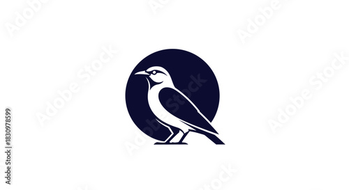 Elegant avian logo design showcases a stylized bird silhouette against a dark circular backdrop