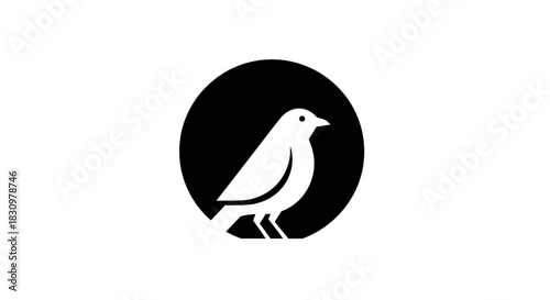 Minimalist bird icon design with black circle backdrop showcasing artistic simplicity