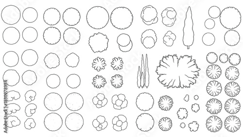 Collection of Tree Plan Symbols and Graphics for Landscape Design, Architectural Drawings and Site Plans, Vector Illustration