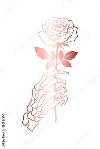 pink rose with skull hands on white background for valentine's day