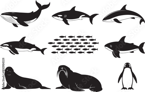ocean marine animal silhouettes with reflections vector set