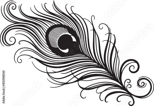 Elegant Black and White Peacock Feather Vector Illustration - Decorative Artistic Design Element for Creative Projects