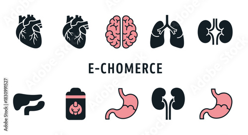 A collection of stylized human organ illustrations in a flat design style, featuring the heart, brain, lungs, kidneys, liver, stomach. "E-CHOMERCE" text appears below