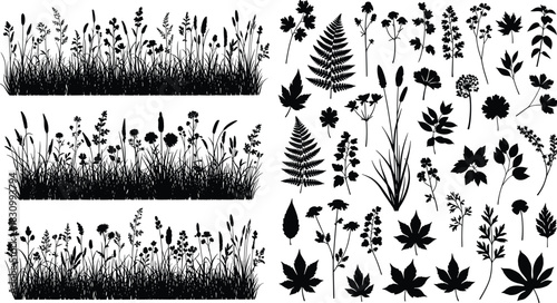 Botanical silhouette vector, grass strips, wild plants, leaf shapes, black and white nature elements, floral design, foliage illustration, natural decoration