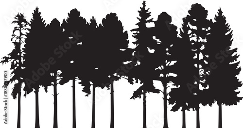 A striking black and white silhouette illustration of a dense forest with tall pine trees, evoking a sense of wilderness and nature