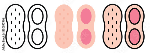Raw and Shelled Peanuts with Nut Kernel Inside Icon Set in Outline, Color & Flat Style