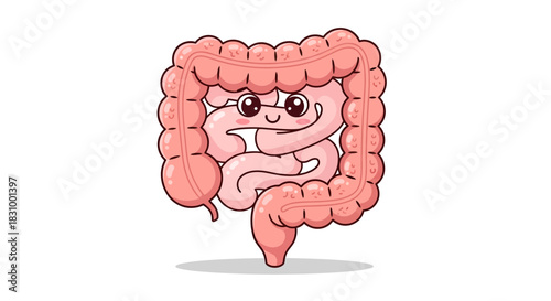 Adorable cartoon illustration of the human colon emphasizing intestinal health and digestive