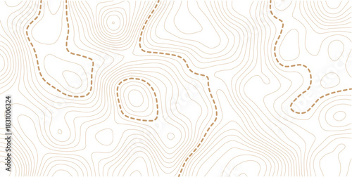 Topographic map background. Geographic line map with elevation assignments. Contour background geographic grid. 