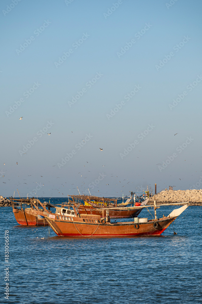 Fototapeta premium Al Ashkharah, Oman - November 18,2025: Traditional Omani Wooden Dhows at Harbor Entrance with Seagulls, Al Ashkharah, Oman