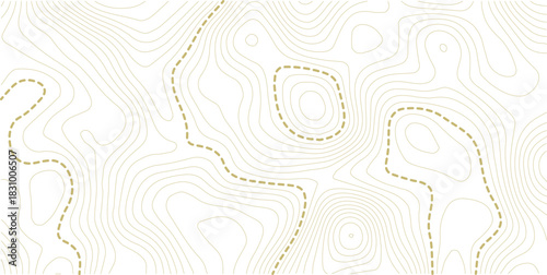 Topographic map background. Geographic line map with elevation assignments. Contour background geographic grid. 