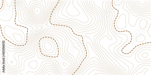 Topographic map background. Geographic line map with elevation assignments. Contour background geographic grid. 