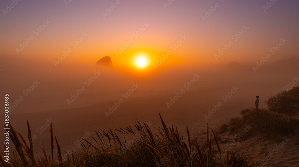 Fototapeta premium Marine fog and sunset on the Oregon coast 