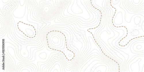 Topographic map background. Geographic line map with elevation assignments. Contour background geographic grid. Vector illustration.