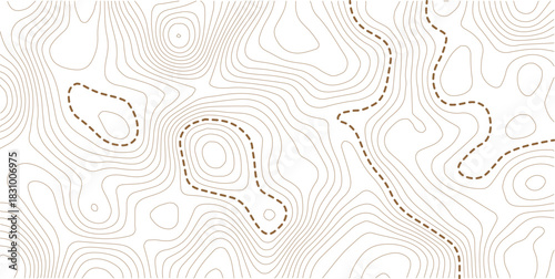 Topographic map background. Geographic line map with elevation assignments. Contour background geographic grid. Vector illustration.