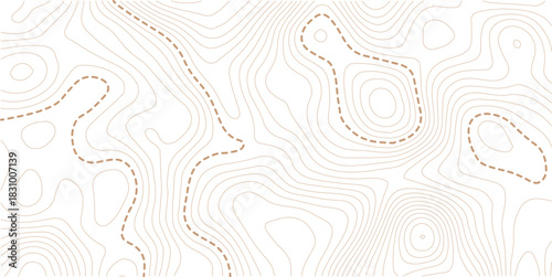 Topographic map background. Geographic line map with elevation assignments. Contour background geographic grid. Vector illustration.