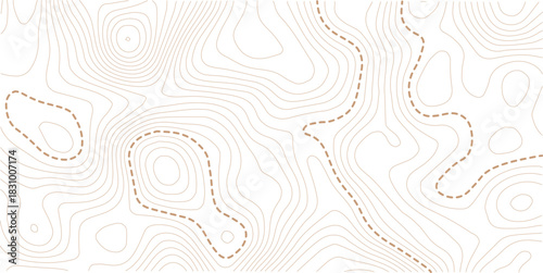 Topographic map background. Geographic line map with elevation assignments. Contour background geographic grid. Vector illustration.