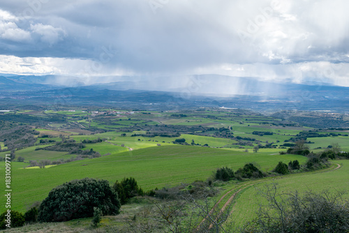 Green fields under the spring rain