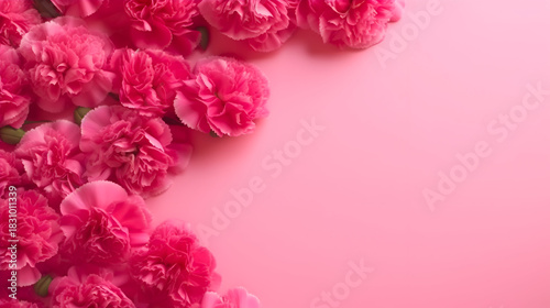 Overhead shot of pink carnation flowers on a pink background,  creating a beautiful floral arrangement with soft petals and vibrant colors