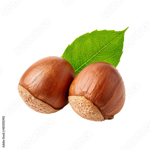 Hazelnuts With Green Leaf on White Background Ready for Culinary Use or Snacking