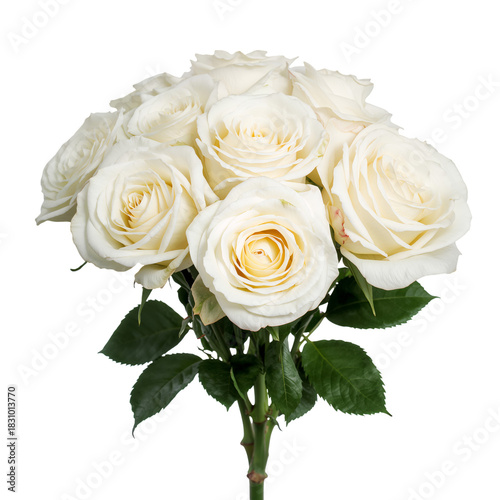 Beautiful White Roses Arranged Elegantly for a Special Occasion or Home Decor