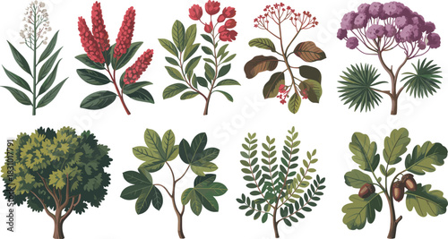Vintage botanical vector set featuring colorful flowers, green leaves, tree branches, and oak acorns for nature design.