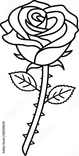 Elegant single rose outline with thorns and leaves, simple floral contour illustration