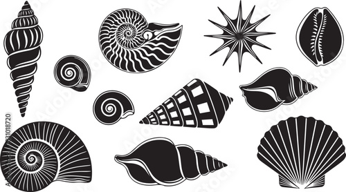 Assortment of black and white seashell and spiral illustrations marine ocean