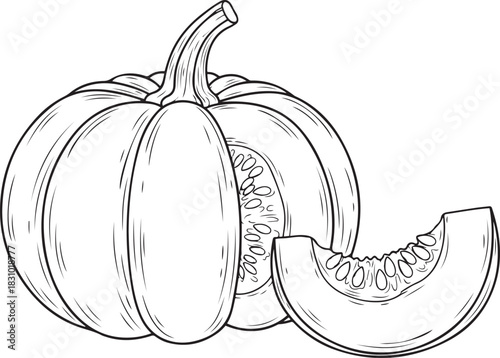 Black and White Line Art Illustration of a Pumpkin with a Slice and Seeds Keywords: pumpkin, slice, seeds