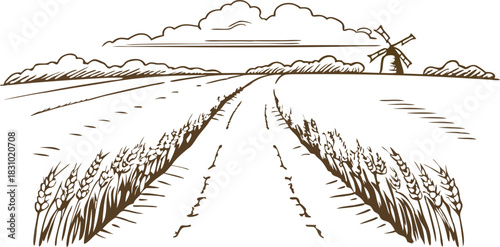countryside wheat field road with windmill and clouds, rural landscape agriculture illustration